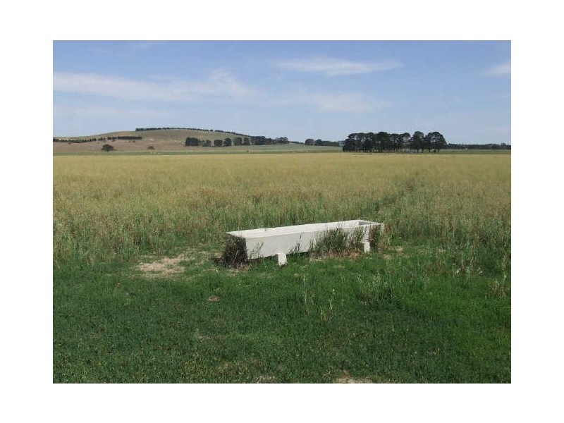 3159 Lumley Road, Tarago NSW 2580