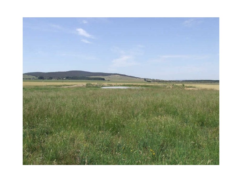 3159 Lumley Road, Tarago NSW 2580