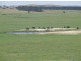 3159 Lumley Road, Tarago NSW 2580
