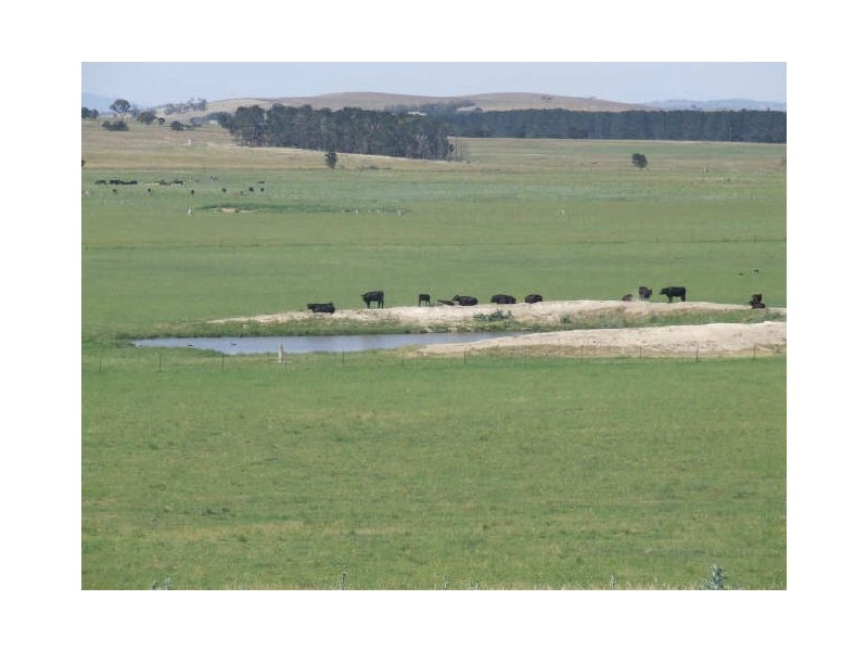 3159 Lumley Road, Tarago NSW 2580