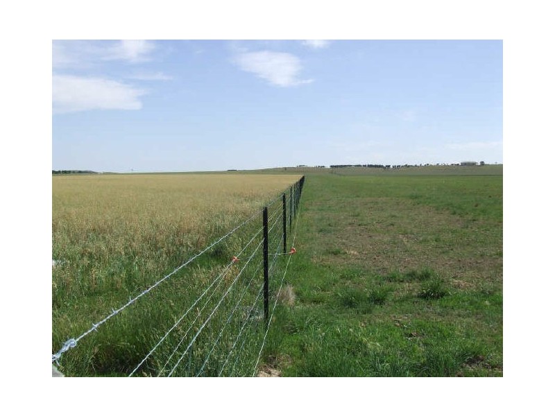 3159 Lumley Road, Tarago NSW 2580