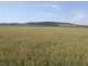 3159 Lumley Road, Tarago NSW 2580