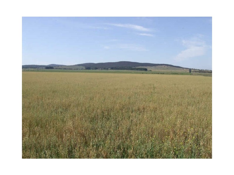 3159 Lumley Road, Tarago NSW 2580