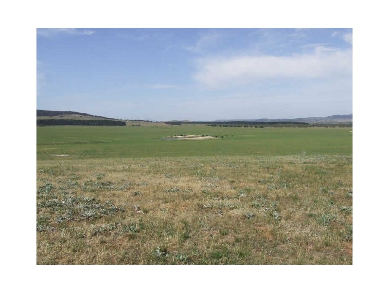 3159 Lumley Road, Tarago NSW 2580