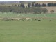 3159 Lumley Road, Tarago NSW 2580