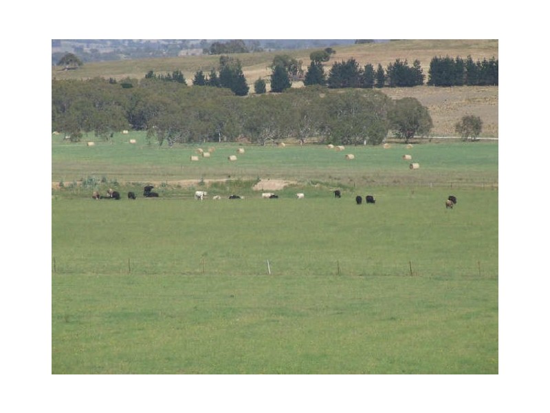 3159 Lumley Road, Tarago NSW 2580