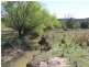 550 Forest Siding Road, Goulburn NSW 2580