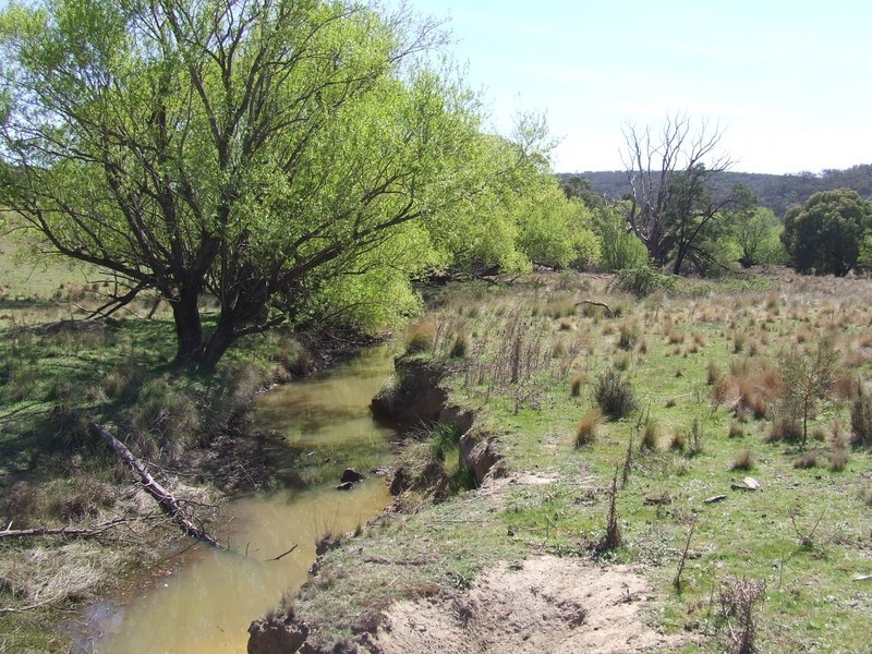 550 Forest Siding Road, Goulburn NSW 2580