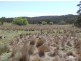 550 Forest Siding Road, Goulburn NSW 2580