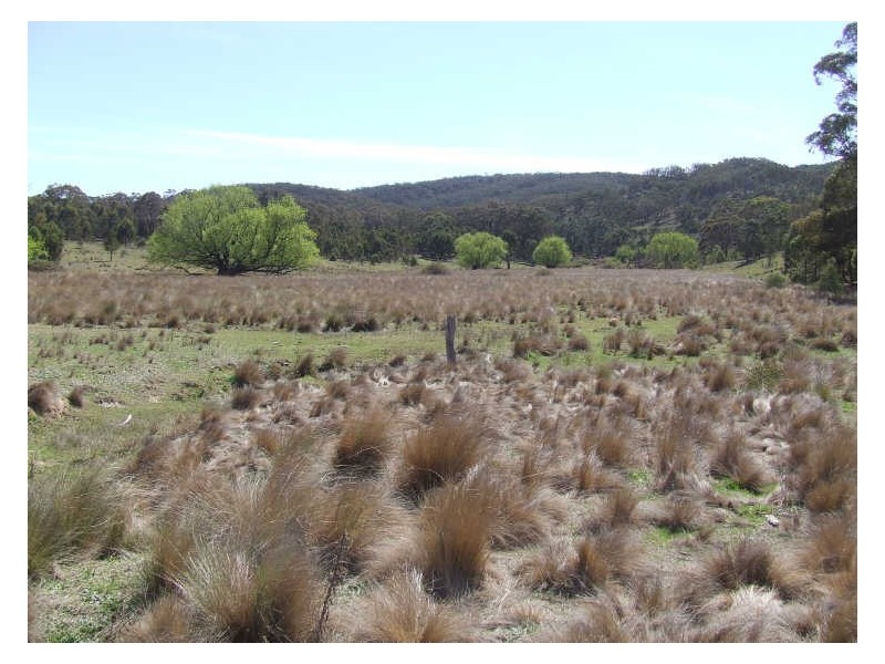 550 Forest Siding Road, Goulburn NSW 2580