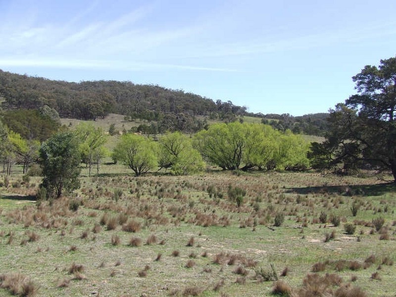 550 Forest Siding Road, Goulburn NSW 2580
