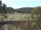550 Forest Siding Road, Goulburn NSW 2580