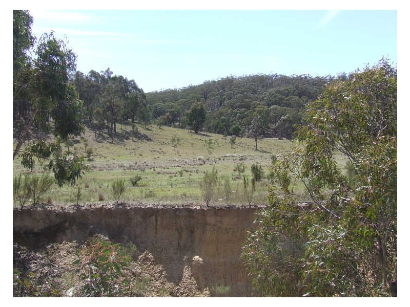 550 Forest Siding Road, Goulburn NSW 2580
