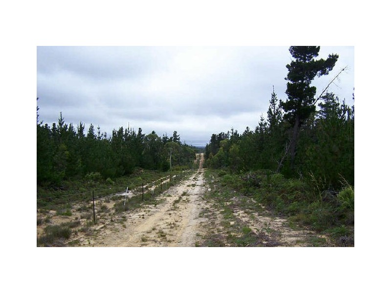 Lot 35 Corang River Estate, Braidwood Road, Nerriga NSW 2622