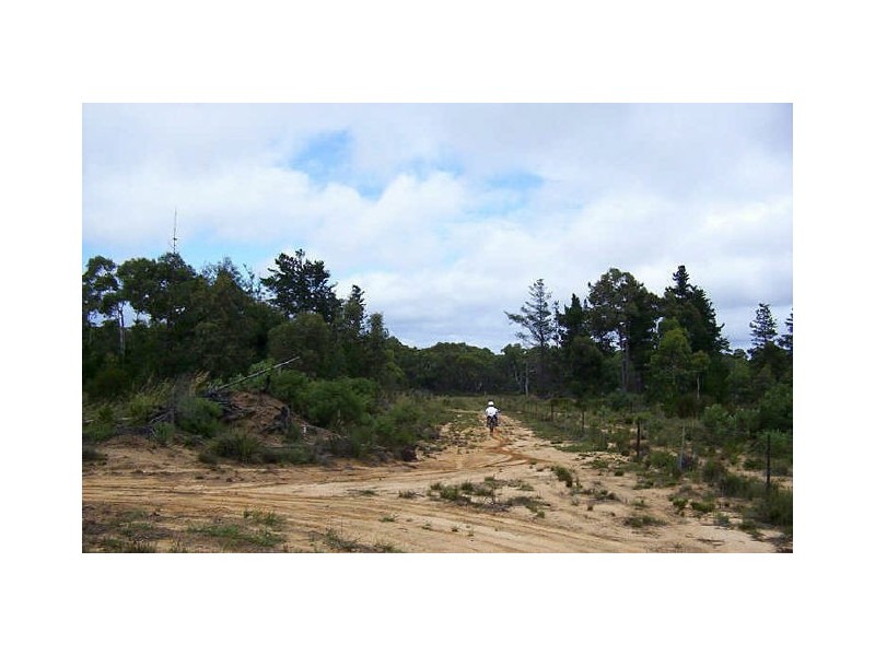 Lot 35 Corang River Estate, Braidwood Road, Nerriga NSW 2622