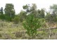 Lot 35 Corang River Estate, Braidwood Road, Nerriga NSW 2622