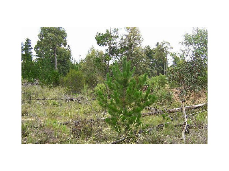 Lot 35 Corang River Estate, Braidwood Road, Nerriga NSW 2622