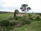 147 Pegasus Road, Bungonia NSW 2580