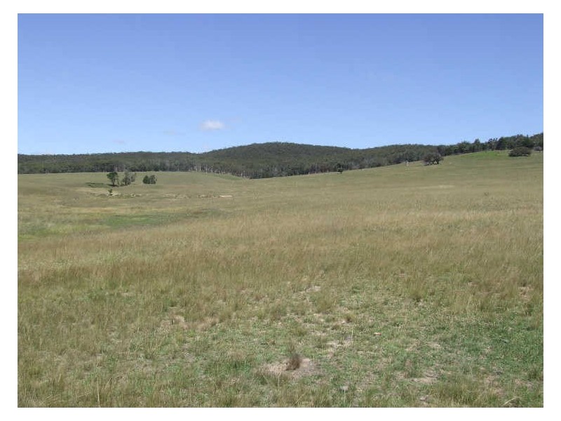 200 Cullulla Road, Tarago NSW 2580