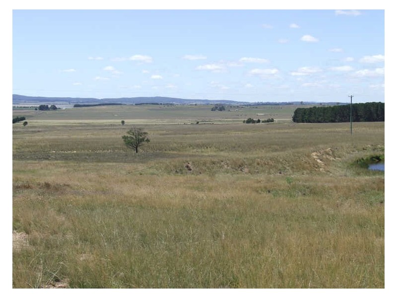 200 Cullulla Road, Tarago NSW 2580