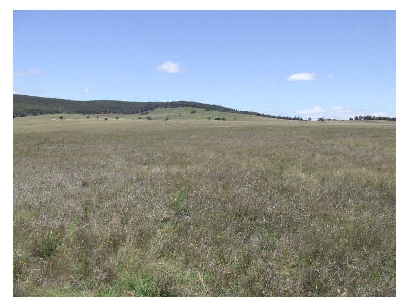 200 Cullulla Road, Tarago NSW 2580