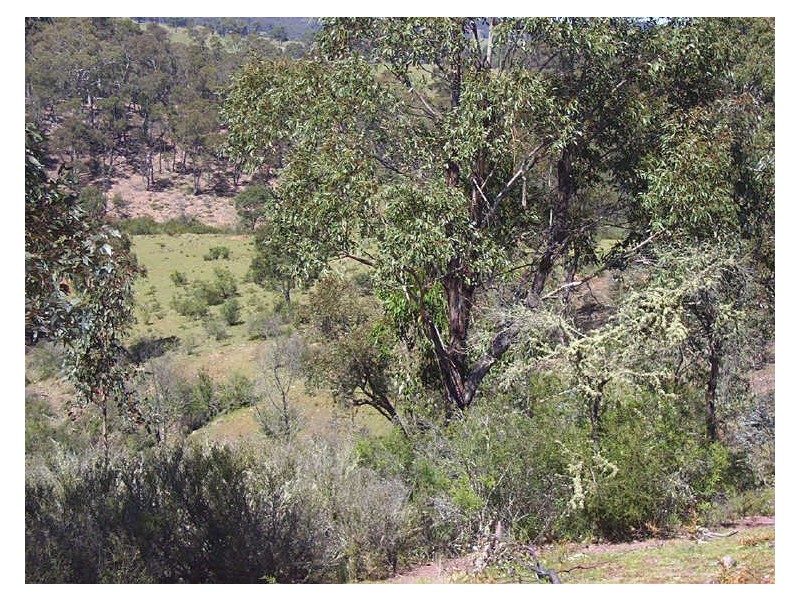 Lots 11, 12, 14, 43, 82/ Jerrong Road, Taralga NSW 2580