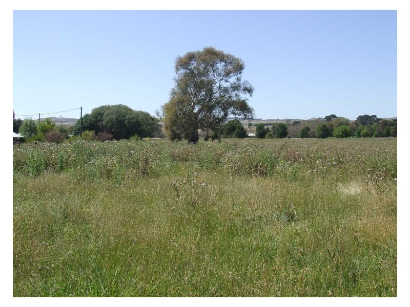 Orchard Street Lots 42,43,44,45,, Taralga NSW 2580