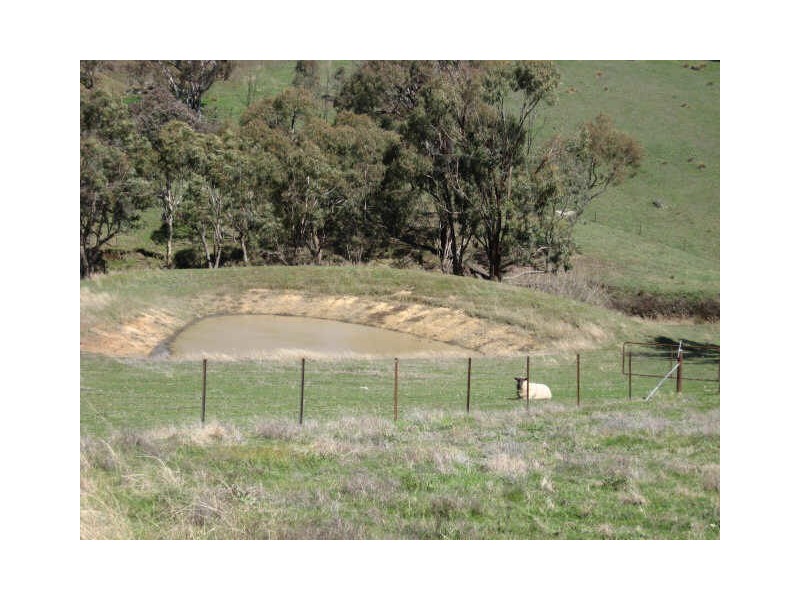 Yewrangara Street Lot 191, Bigga NSW 2583