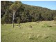 Lot 169 Bannaby Road, Taralga NSW 2580