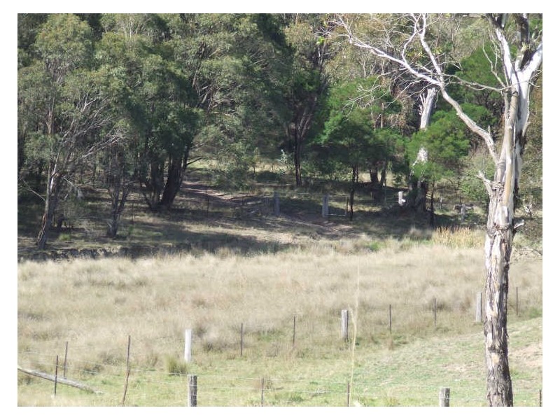 Lot 169 Bannaby Road, Taralga NSW 2580