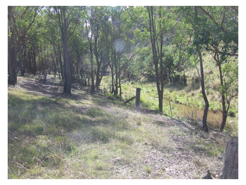Lot 169 Bannaby Road, Taralga NSW 2580