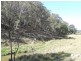 Lot 169 Bannaby Road, Taralga NSW 2580