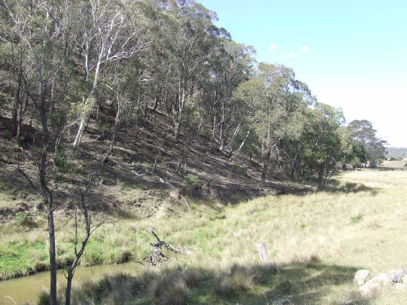 Lot 169 Bannaby Road, Taralga NSW 2580
