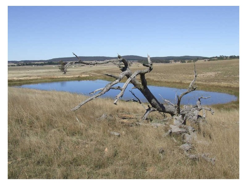 1990 Windellama Road, Goulburn NSW 2580