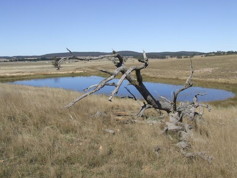 1990 Windellama Road, Goulburn NSW 2580