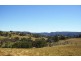 Lot 97 Newfoundland Road Bannaby, Taralga NSW 2580