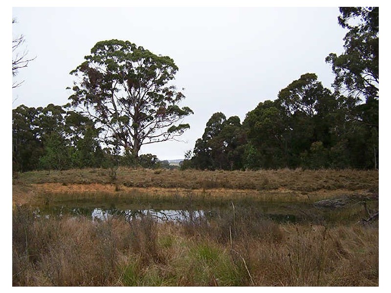 Lot 2 Wombeyan Caves Road, Taralga NSW 2580