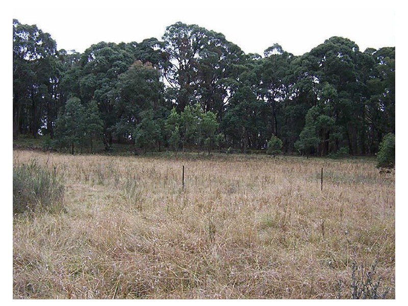 Lot 2 Wombeyan Caves Road, Taralga NSW 2580