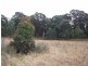 Lot 2 Wombeyan Caves Road, Taralga NSW 2580