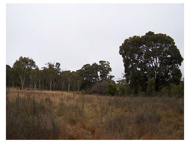 Lot 2 Wombeyan Caves Road, Taralga NSW 2580