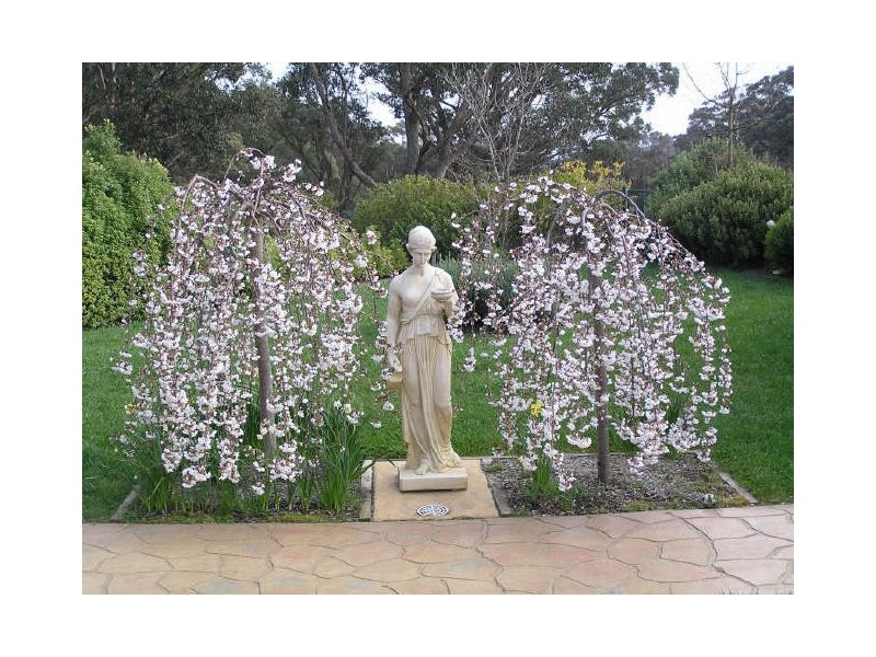 815 Mountain Ash Road, Goulburn NSW 2580