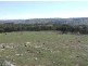 Walshes Road The Elms, Gunning NSW 2581