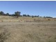 Walshes Road The Elms, Gunning NSW 2581