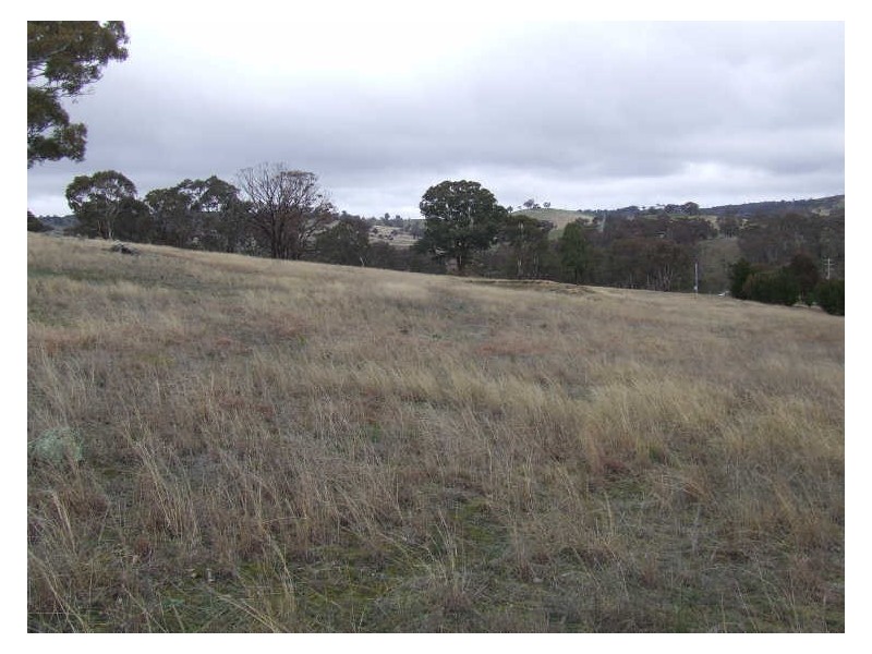 Lot 193 Yewrangara Street, Bigga NSW 2583