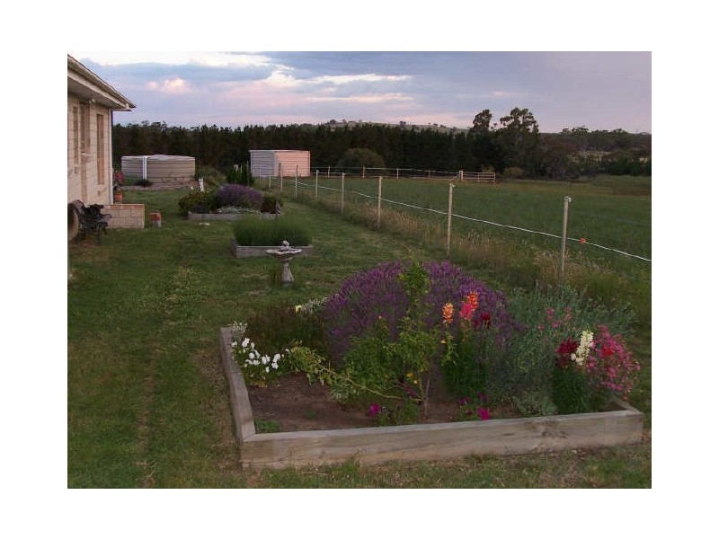 1144 Mt Fairy Road, Tarago NSW 2580