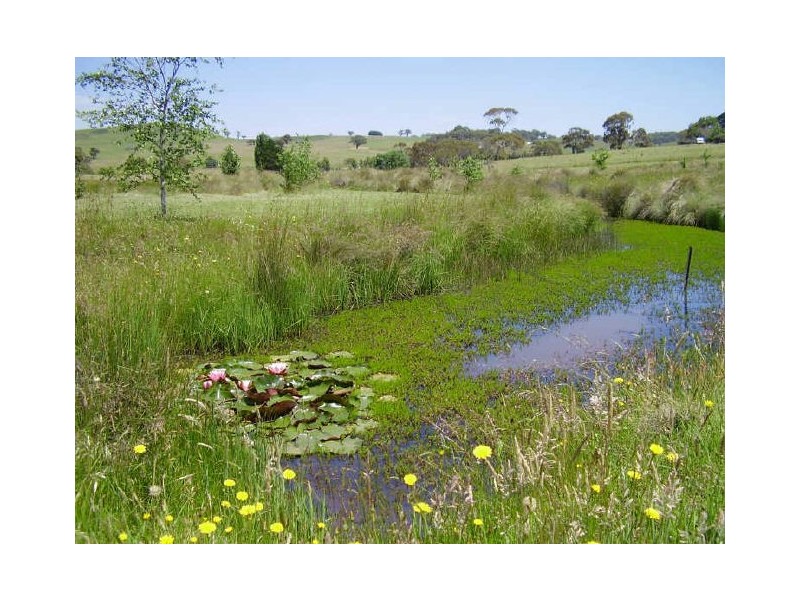 Lot 12 Hewitts Lane, Grabben Gullen NSW 2583