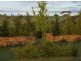 Lot 12 Hewitts Lane, Grabben Gullen NSW 2583