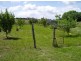 Lot 12 Hewitts Lane, Grabben Gullen NSW 2583