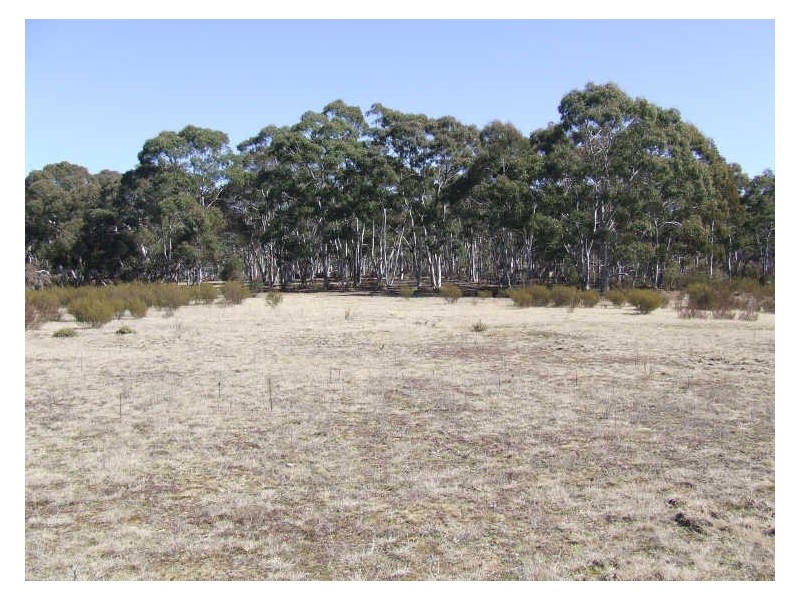 Lot 4 Oallen Ford Road, Windellama NSW 2580