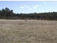 Lot 4 Oallen Ford Road, Windellama NSW 2580